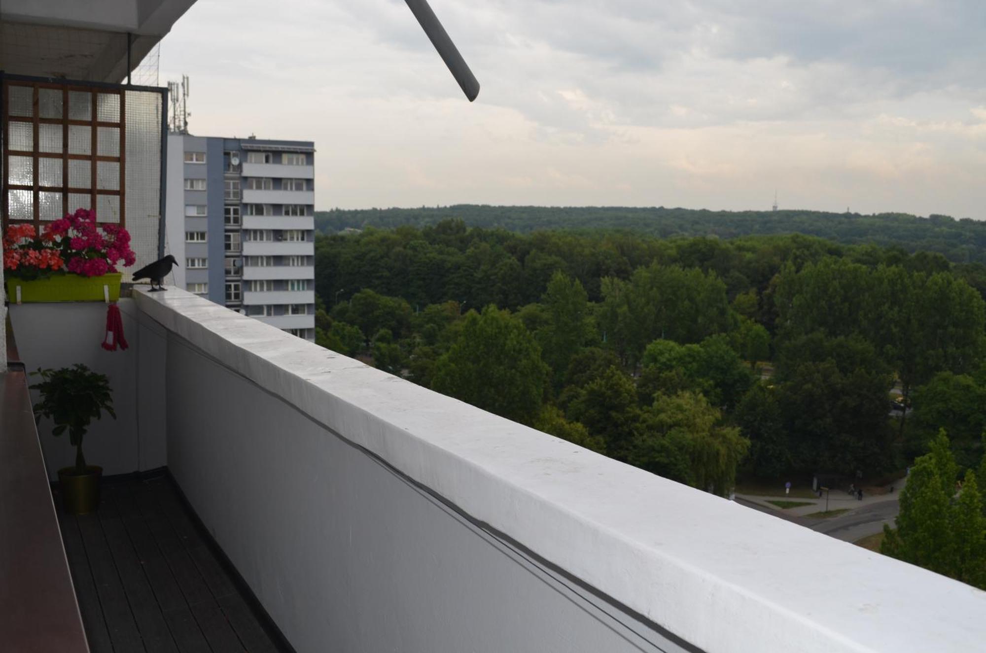 Apartment Silesia Park - Free Parking - Easy Check-In Katowice Exterior photo